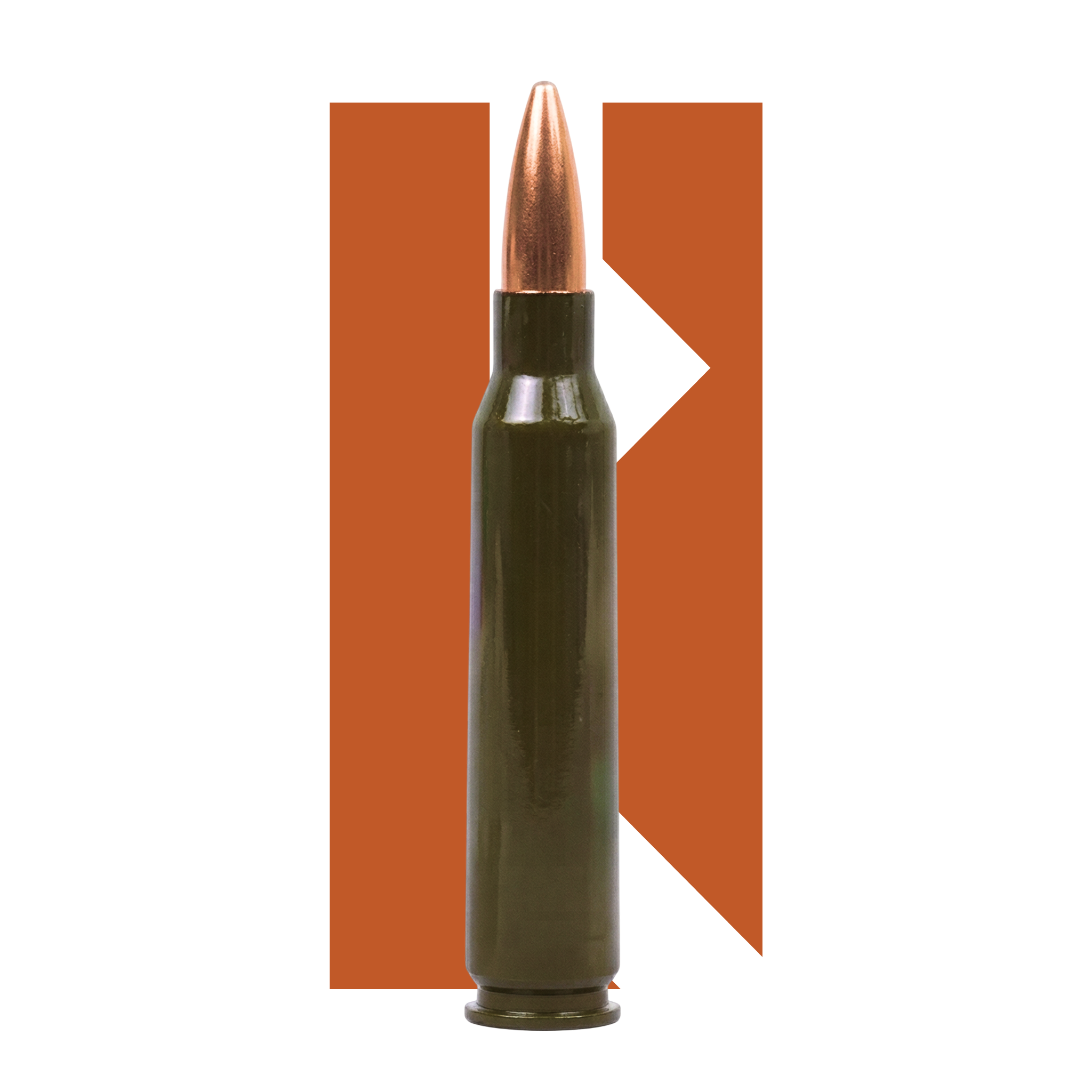 .223Rem FMJBT Barnaul