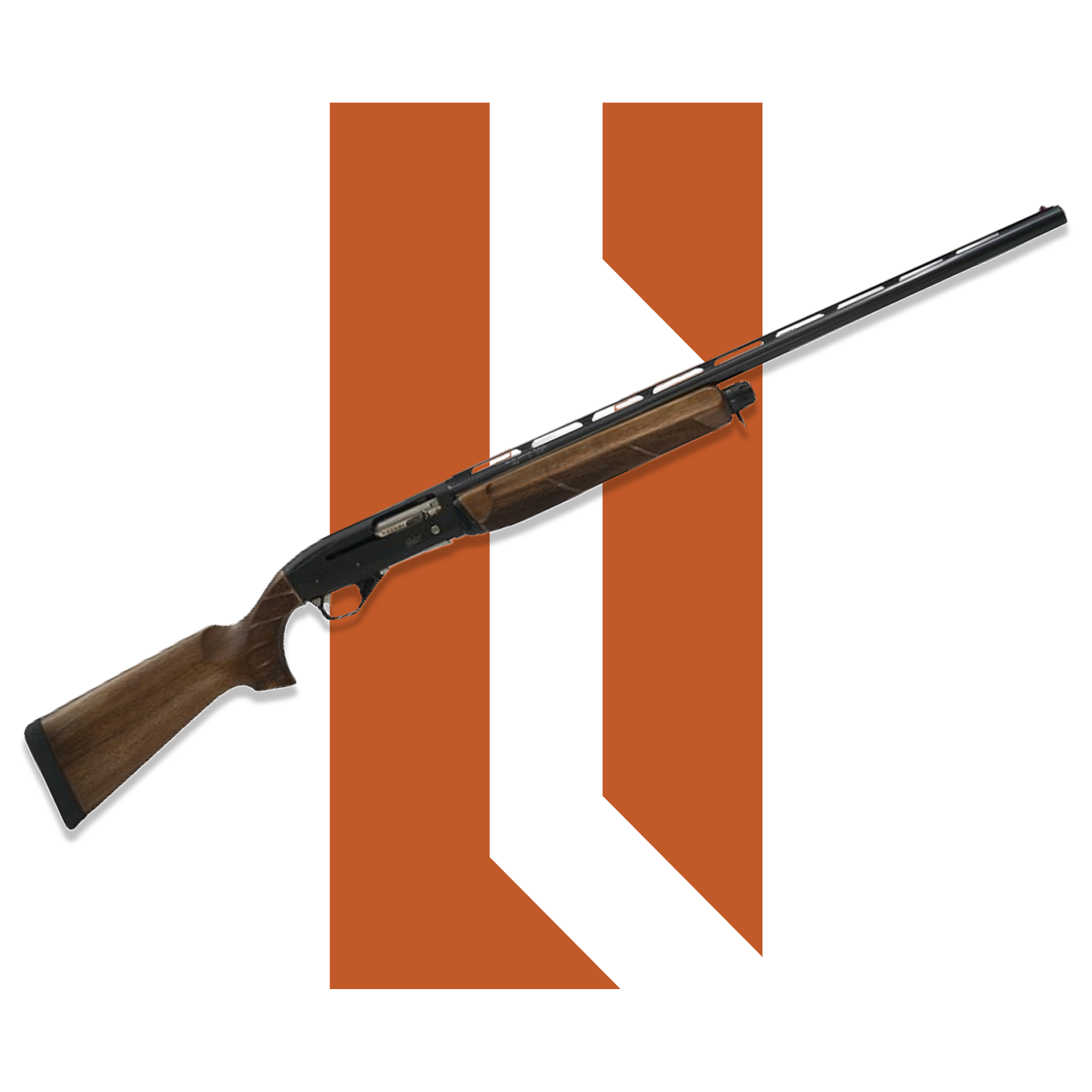 Baikal MP-155 Ընկուզենի