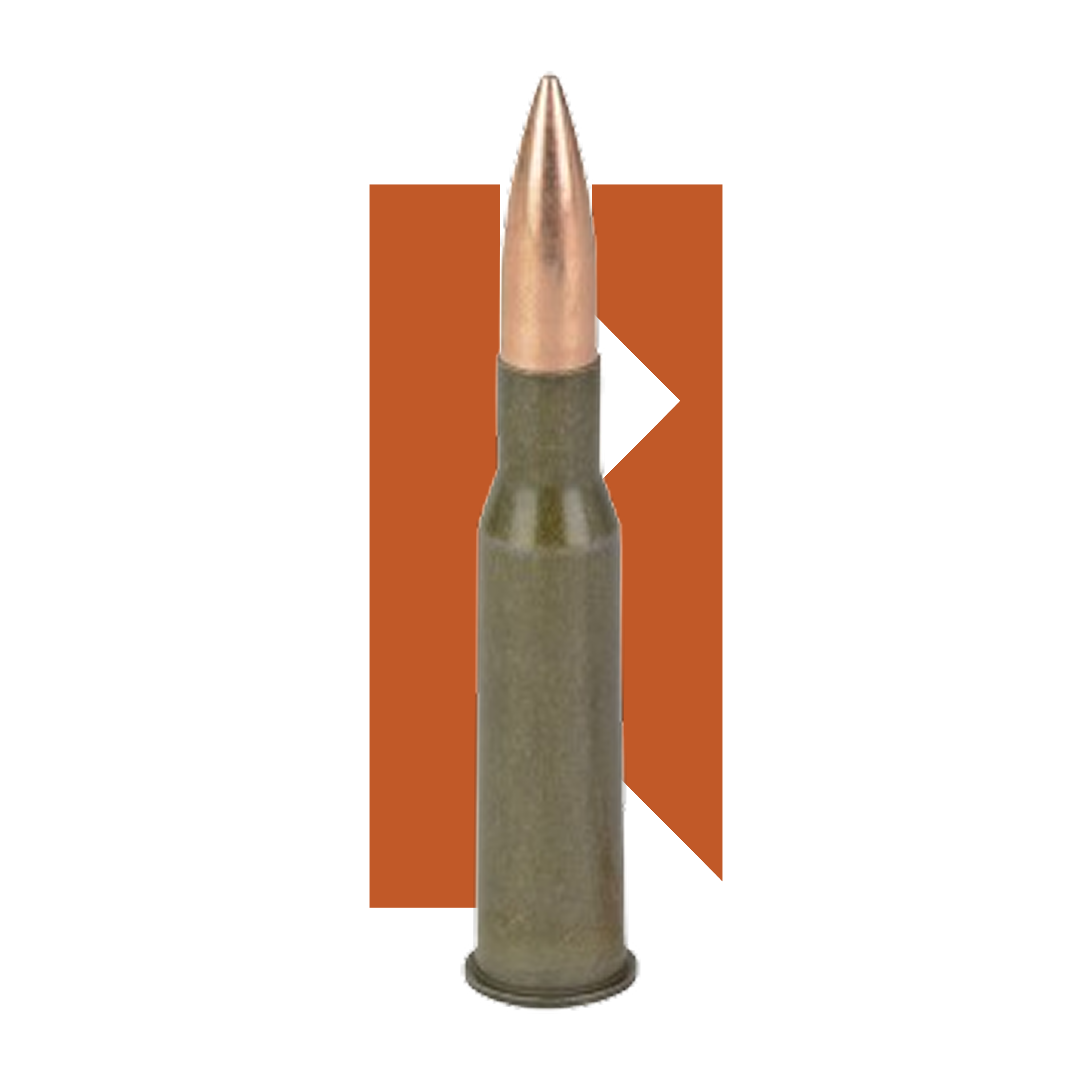 7,62x54R FMJ Barnaul