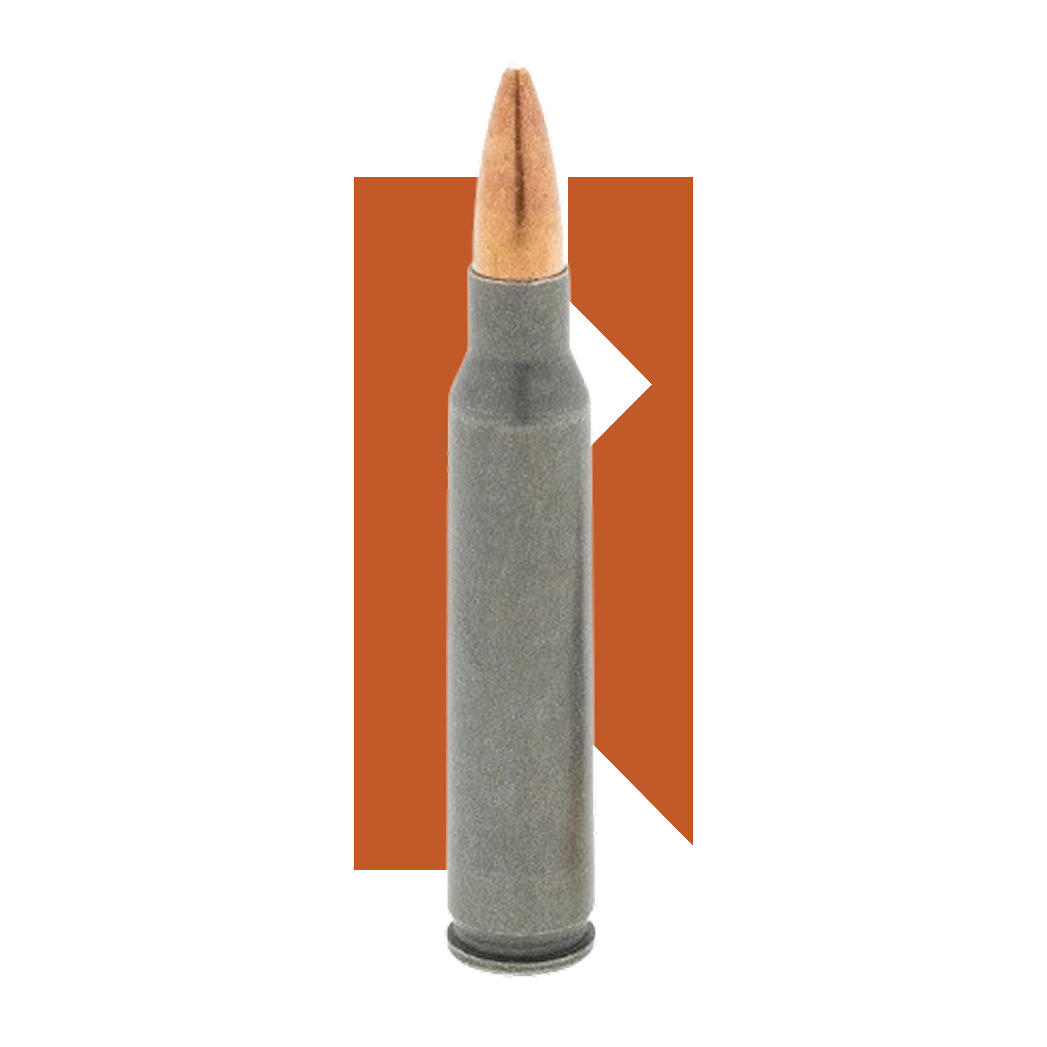 223Rem FMJ TulAmmo