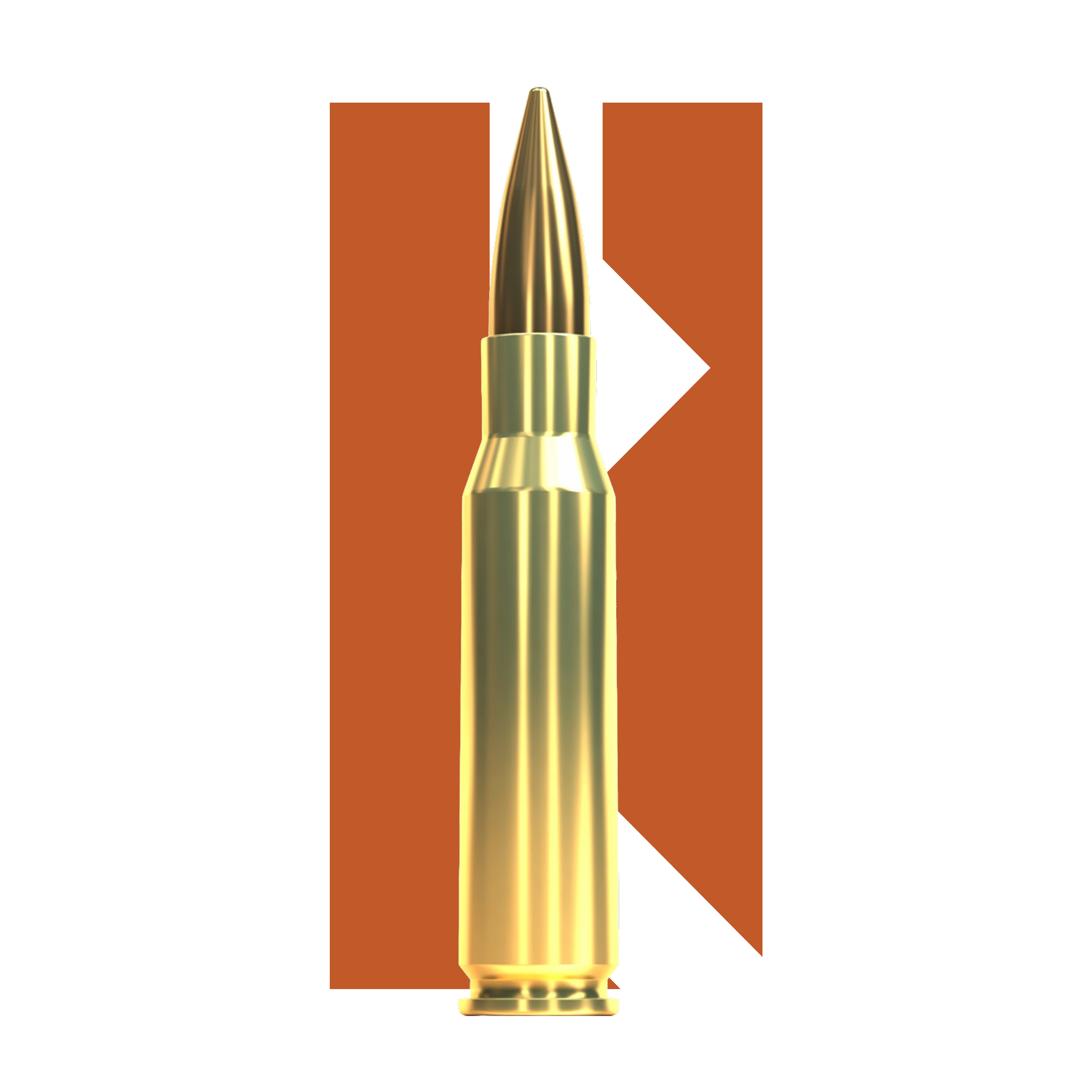 .308Win FMJ Sellier & Bellot