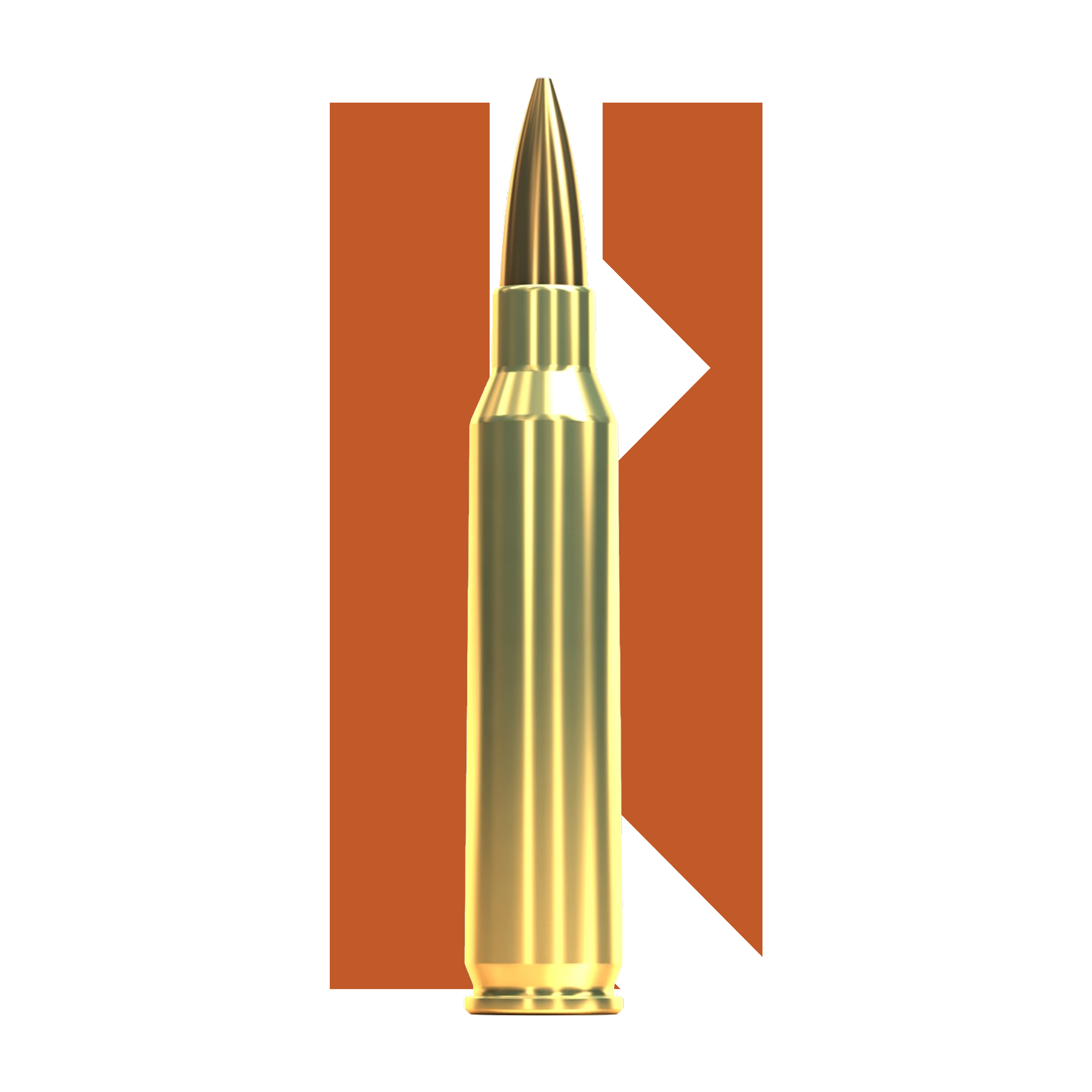 .223Rem HPBT Sellier & Bellot