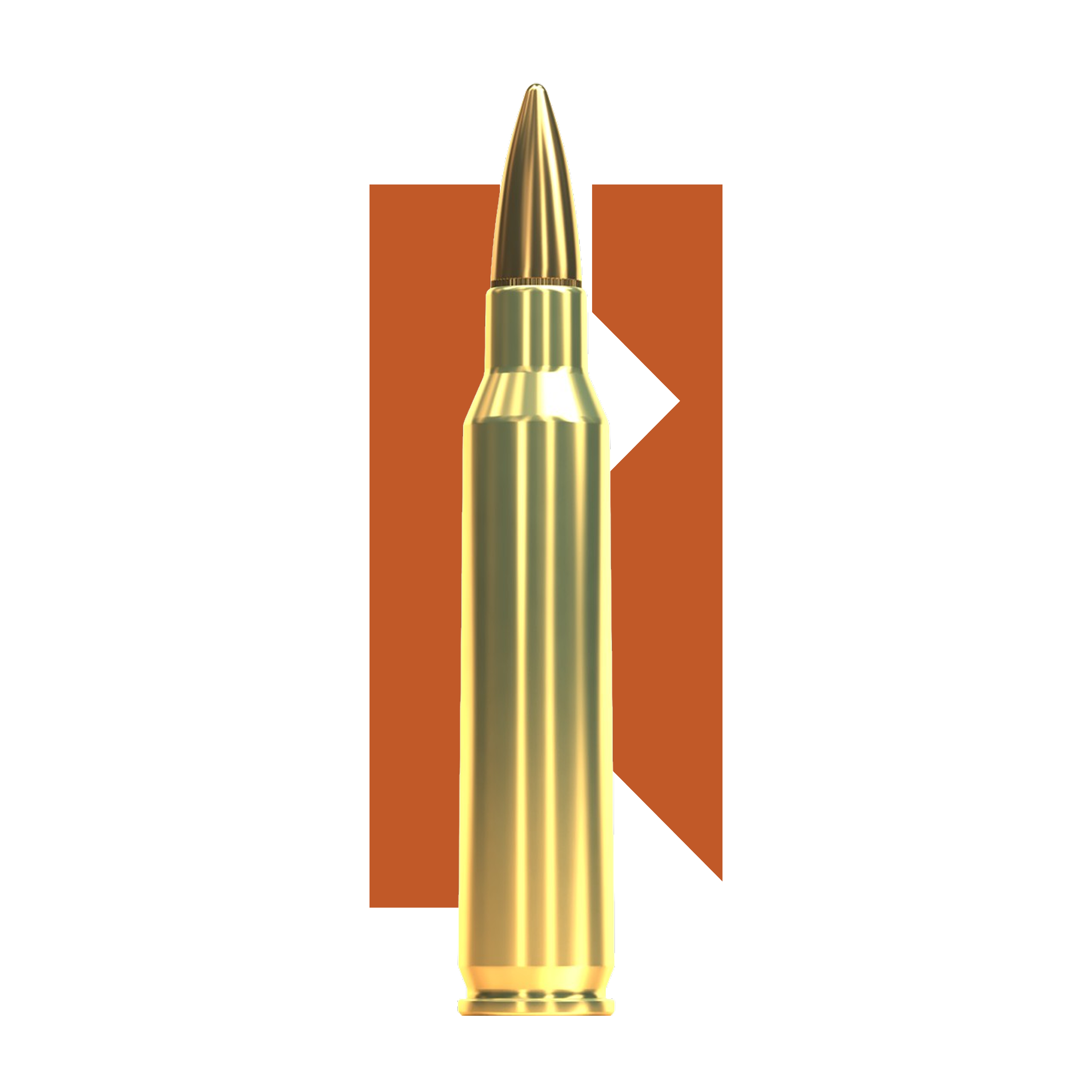 223Rem FMJ Sellier & Bellot