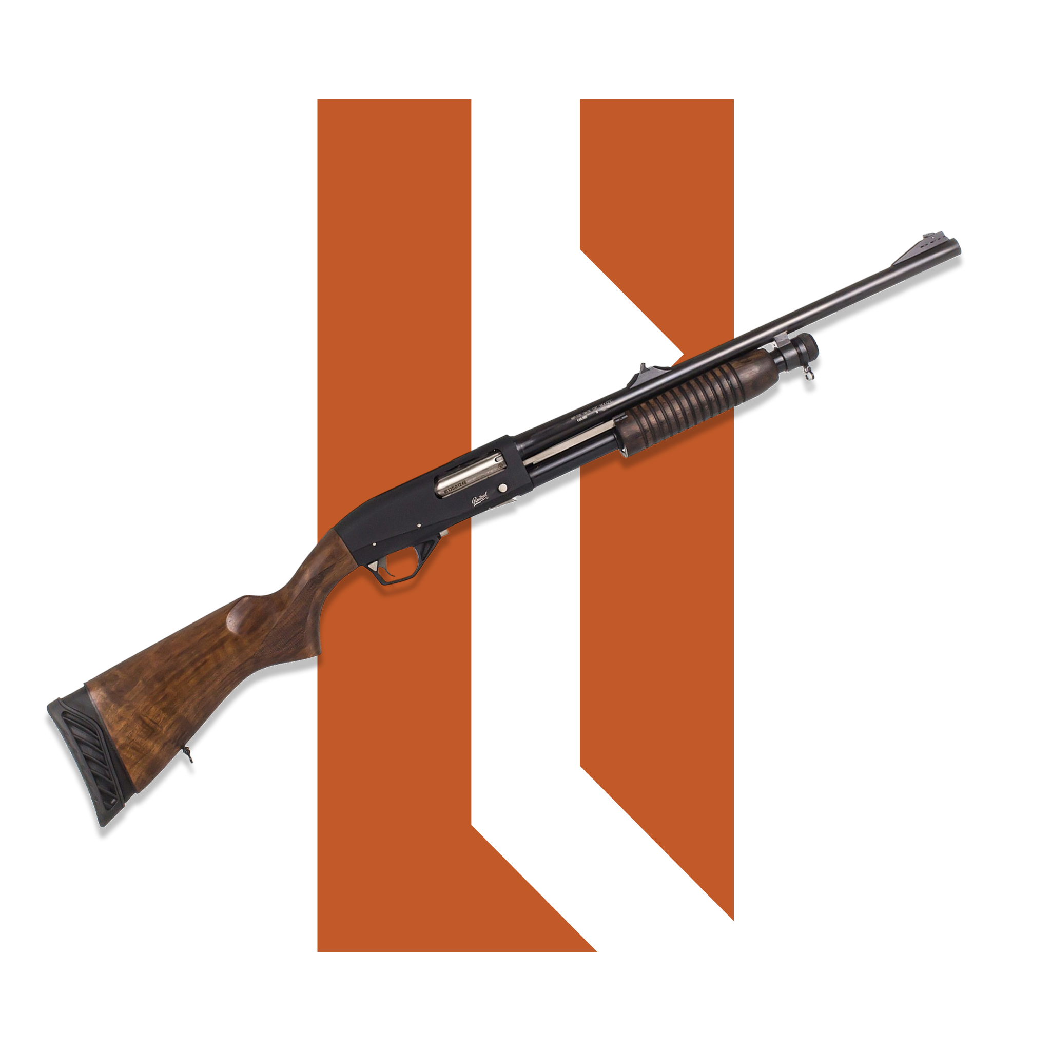 Baikal MP-135 Ընկուզենի